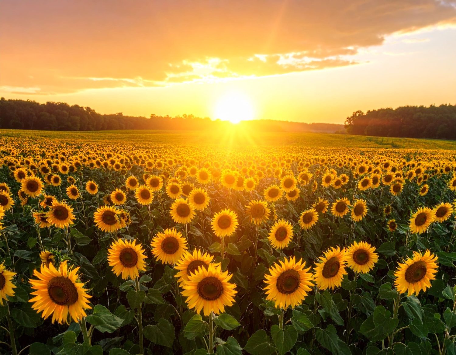 projet atirha sur le renouvellement des générations